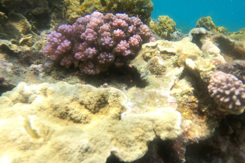 Phu Quoc: South Islands Snorkeling Boat Tour