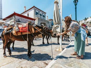 From Athens: Hydra, Poros & Aegina Island Cruise with Lunch