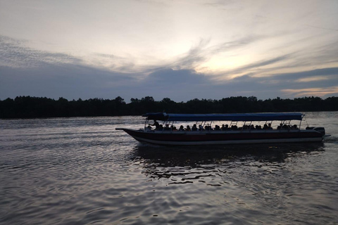 Glowing Kuala Selangor Firefly Tour