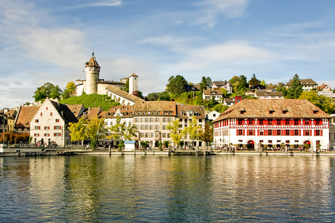 Rhine Falls: Coach Tour from Zurich