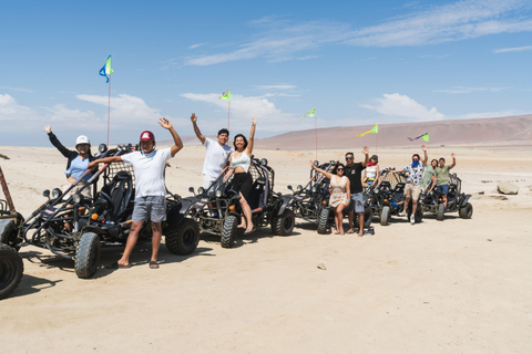 Paracas: National Reserve Mini Buggy Tour with Sunset