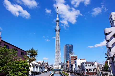 Tokyo: Private Luxury Day Tour with Hotel Pickup and DropOff