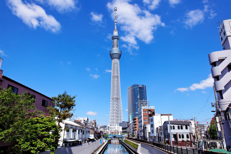 Tokyo: Private Luxury Day Tour with Hotel Pickup and DropOff