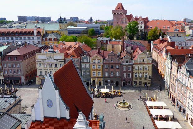 Poznań: tour privato o di gruppo delle attrazioni con una guida locale