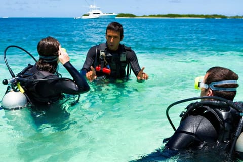 Cancun: Dive and Stay Experience