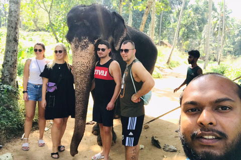 8-Day Sri Lanka Cultural, Hill Country &amp; Beach Tour