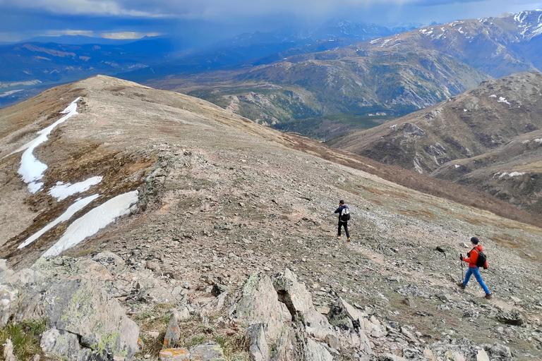 Denali: 5-Hour Guided Wilderness Hiking Tour Denali 4-Hour Hiking Tour
