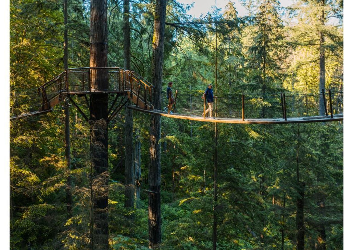 Vancouver: Capilano Suspension Bridge Park billet