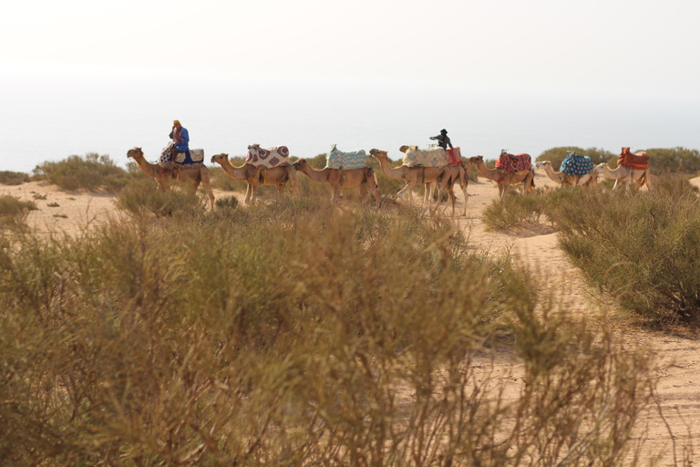 Agadir: Quad Biking, Canyon Visit & Sandboarding with Dinner Agadir: Quad Biking, Canyon Visit & Sandboarding with Dinner