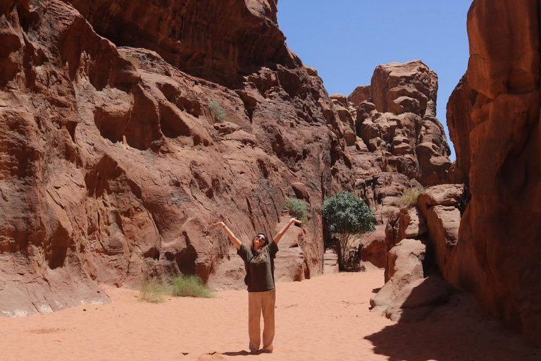 Wadi Rum: Famous place UNESCO Jeep Tour Camel Ride Option Full-Day Tour Hiking Jordan's Highest Mountain