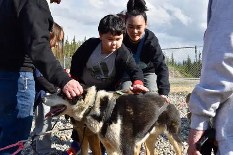 Fairbanks: Summer Dog Mushing Tour with Alaskan Huskies