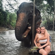 Chiang Mai: Elephant Sanctuary & Thai Cooking Workshop