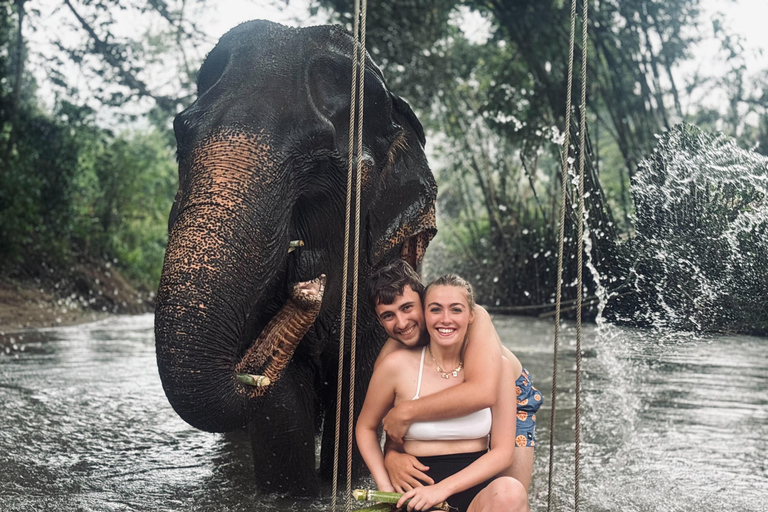 Chiang Mai: Elephant Sanctuary & Thai Cooking Workshop Meeting Point In Town