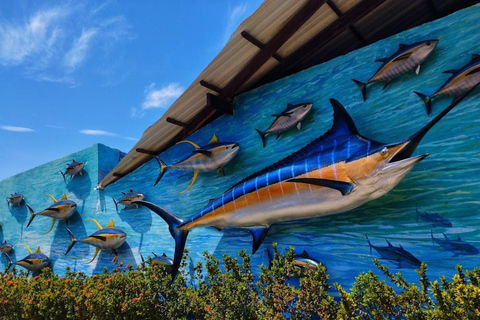 SANTA MARTA: Wycieczka z wejściem do akwarium i transferem do Playa Blanca!