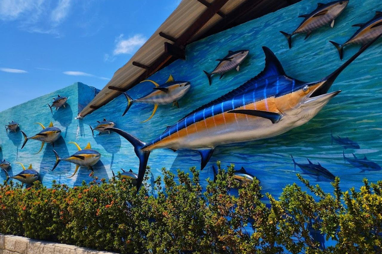 SANTA MARTA: Wycieczka z wejściem do akwarium i transferem do Playa Blanca!