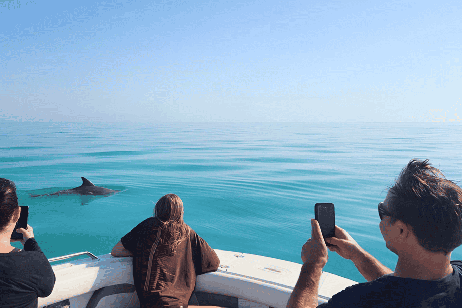 Delfinbeobachtung und Schnorcheltour in Key West. Foto: GetYourGuide