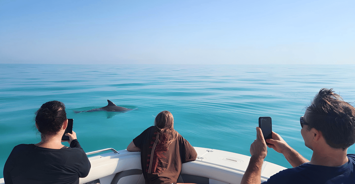 Key West Dolphin & Snorkel Tour - Small Group — a boat tour from Key West, USA