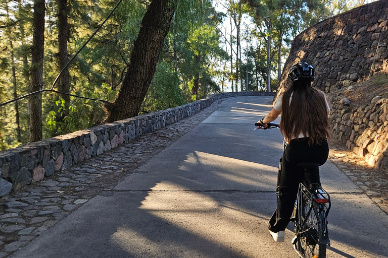 Mendoza: San Martin's park E-Bike ride