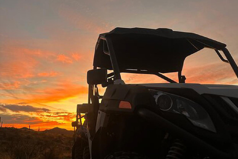 Villanueva: Fundación Loros Sunset Tour with Winetasting