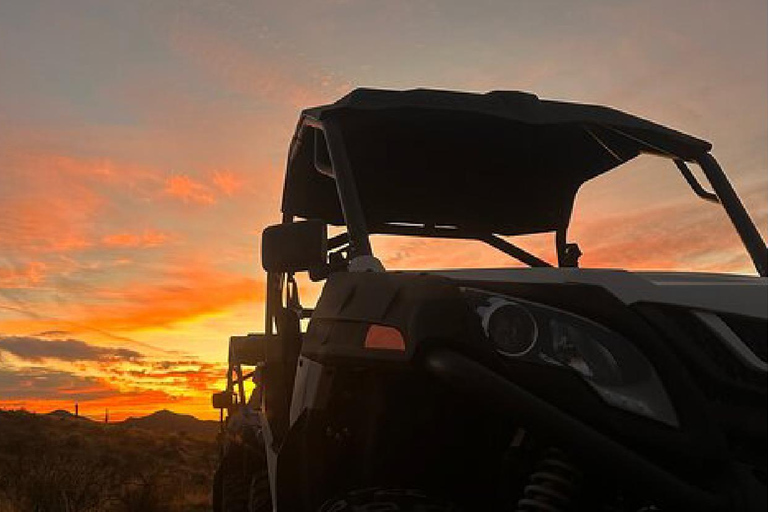 Villanueva: Fundación Loros Sunset Tour with Winetasting