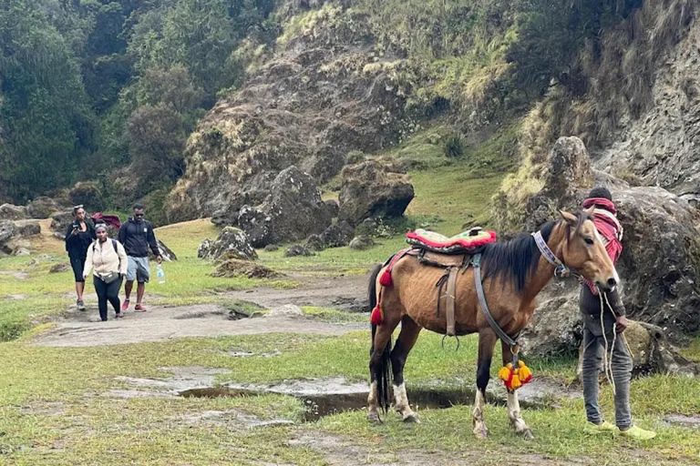 Wonchi Crater Lake: 2-Day Wellness Retreat