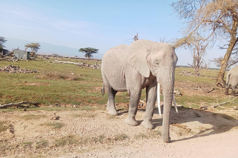 14-daagse Oost-Afrikaanse safari met strandverlenging