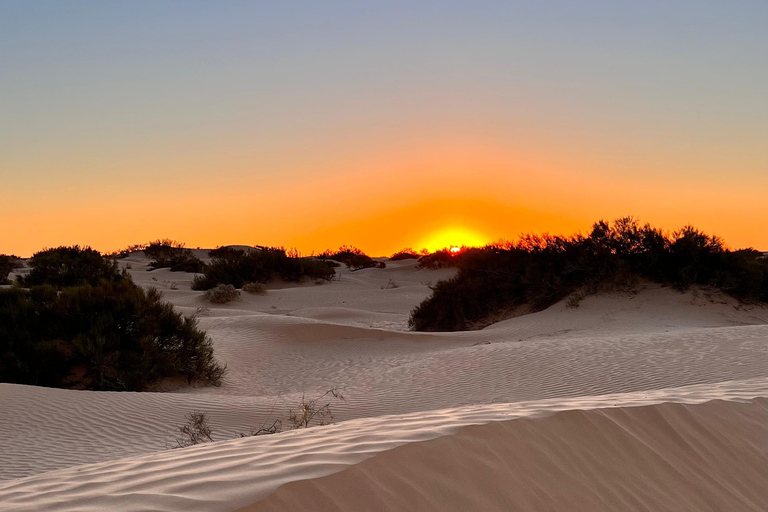 Two-Day Sahara Bivouac Adventure from Djerba