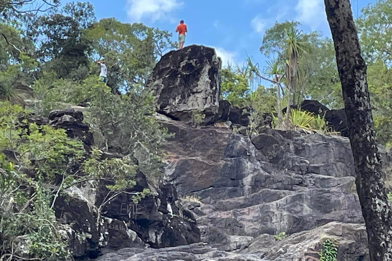 Airlie Beach: Hopper sightseeingbuss med lunch