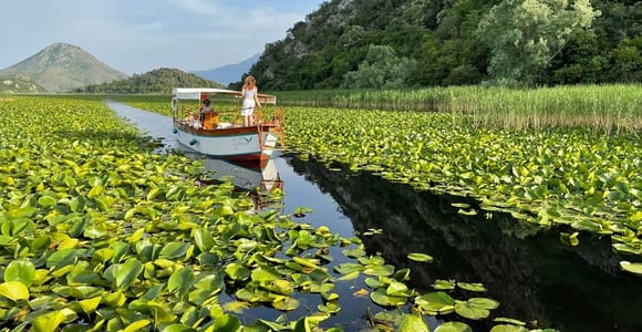 Lake Skadar: from Budva, Kotor, Tivat (private car)