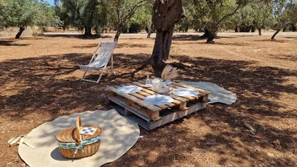 Ostuni: San Vito dei Normani: Bio-Picknick im Olivenhain