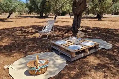 Ostuni: San Vito dei Normanni: Picnic biologico nell'uliveto