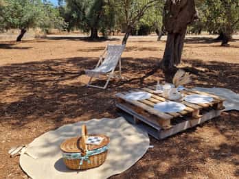 Ostuni: San Vito dei Normani: Bio-Picknick im Olivenhain