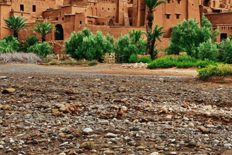 Marrakech: Dagsutflykt till Ait Ben Haddou och Ouarzazate