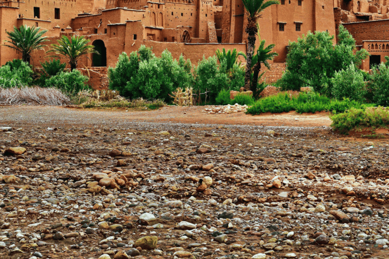 Marrakech: Dagsutflykt till Ait Ben Haddou och Ouarzazate