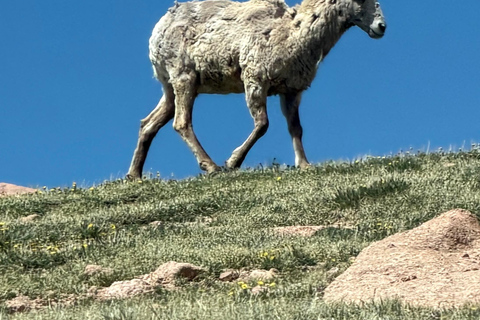 Mount Blue Sky & Red Rocks Tour from Denver