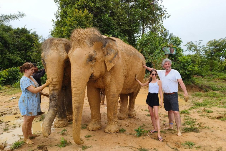 Siem Reap: Elephant Sanctuary Cambodia, Pickup and Drop Off