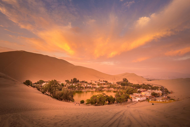 Au départ de Lima : visite d&#039;une jounée de Paracas et de l&#039;oasis de Huacachina