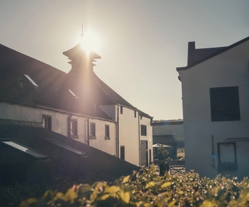 Glengoyne Distillery Tour with Whisky & Chocolate
