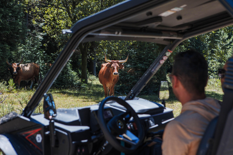 4h Buggy Tour - Arcos de Valdevez - Peneda Gerêsbuggy 4 pax