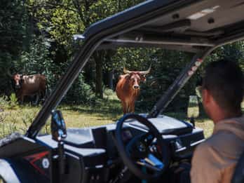 4h Buggy Tour • Arcos de Valdevez • Peneda Gerês