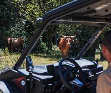 4h Buggy Tour • Arcos de Valdevez • Peneda Gerês