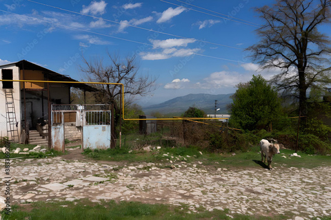 1-D to the North Sheki: Yayla, Oğuz, and Xal-Xal.