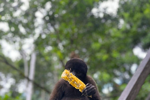 Iquitos: Monkey Island Tour with Lunch