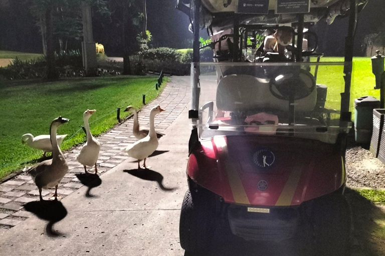 Jakarta: Senayan Night Golf with City Views and Transfer Night Gold with Premium Hotel Pickup & Golf Club Set