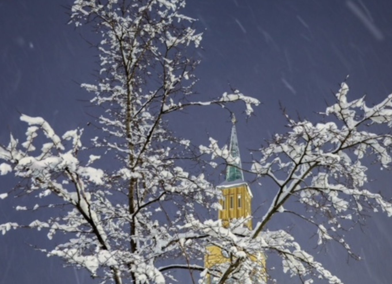 Tromsø: Billet til midnatskoncert i Tromsø Domkirke