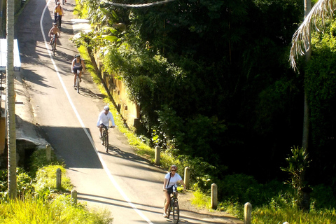 Ubud: Half-Day Tegallalang Electric Cycling Tour