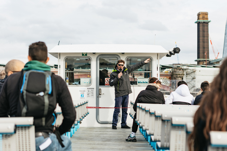 Londres: tour en autobús turístico Tootbus con cruceroTicket de 48 horas