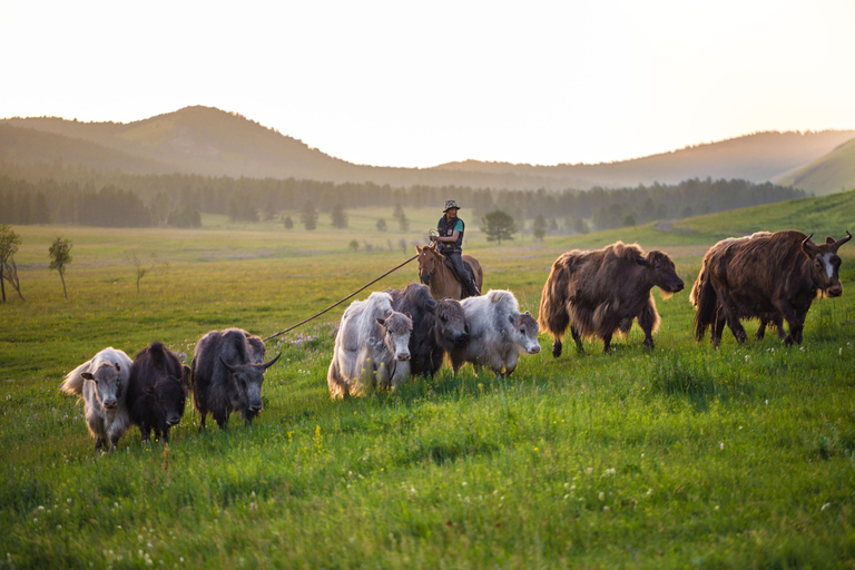 3-Day Central Mongolia Waterfall, Ancient Capital, Semi Gobi