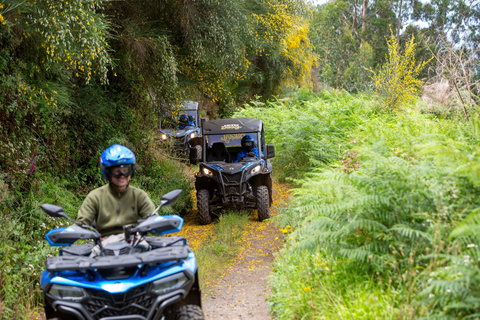 Madera: Trail Thrill Buggy Tour