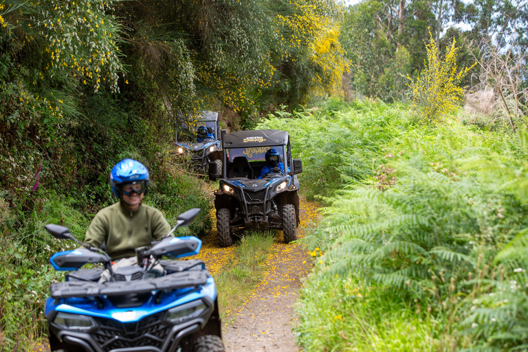 Madera: Trail Thrill Buggy Tour